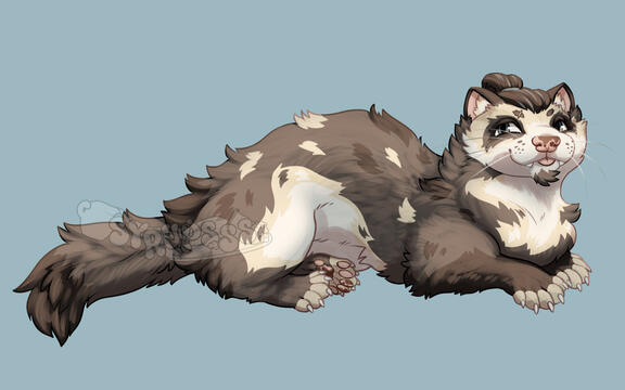 Lounging Dwyn the Ferret Shaded Sketch