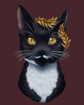 Mustache Kitten Portrait